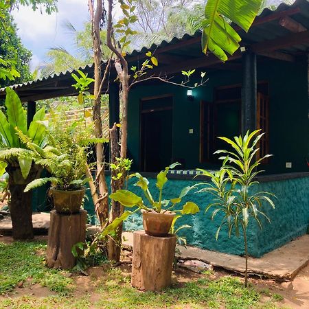 Sigiri Ruvini Homestay Sigiriya Exterior photo