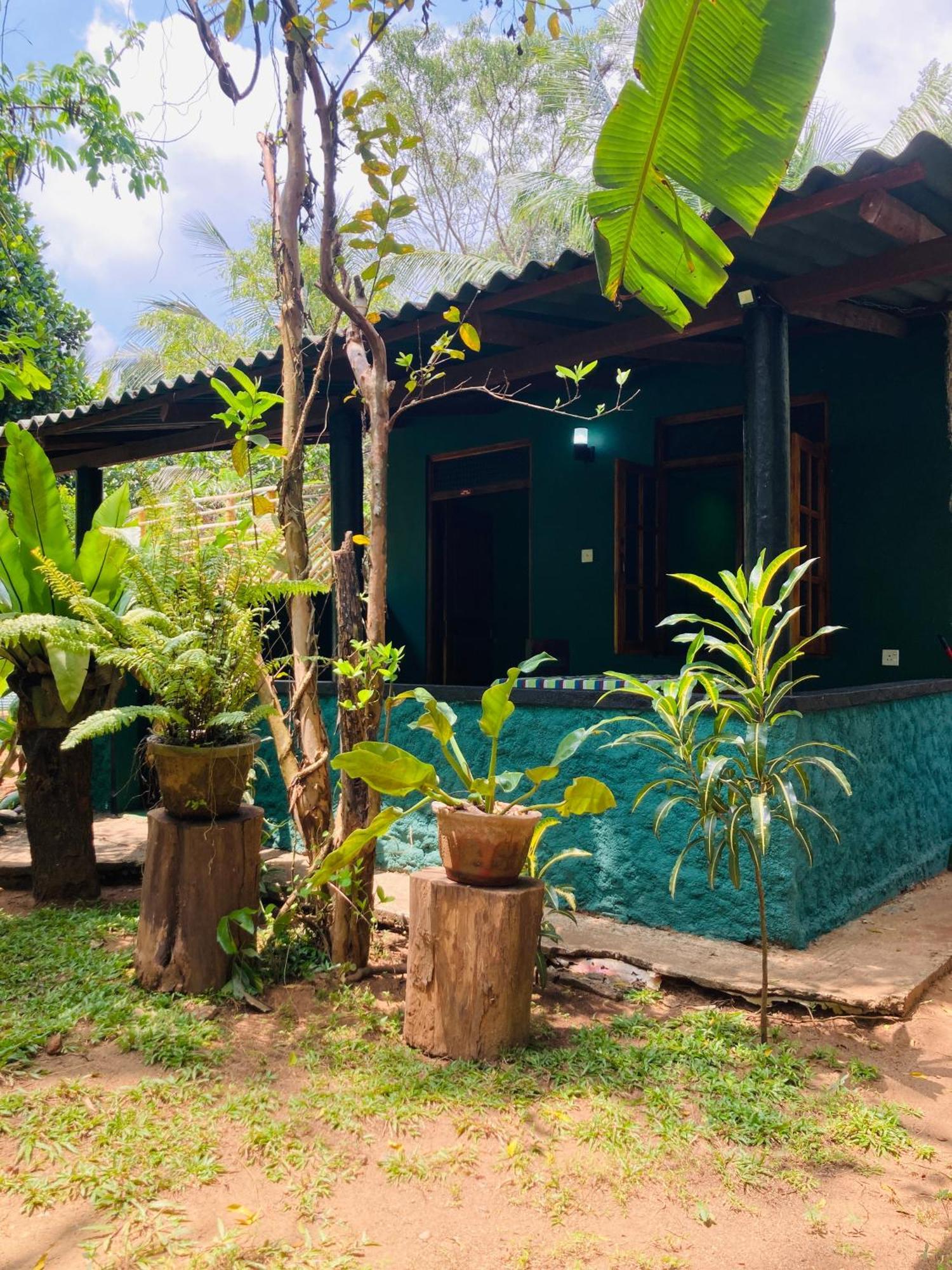 Sigiri Ruvini Homestay Sigiriya Exterior photo