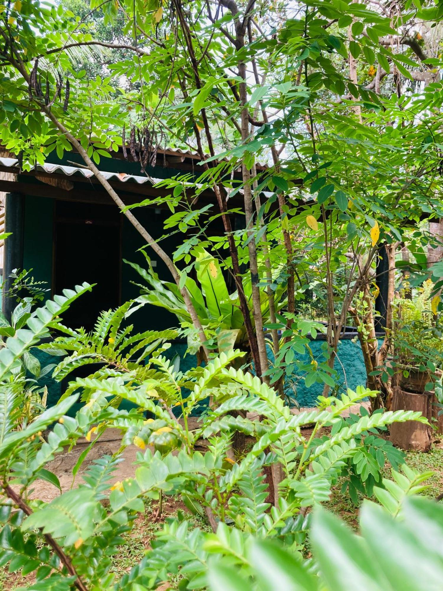 Sigiri Ruvini Homestay Sigiriya Exterior photo