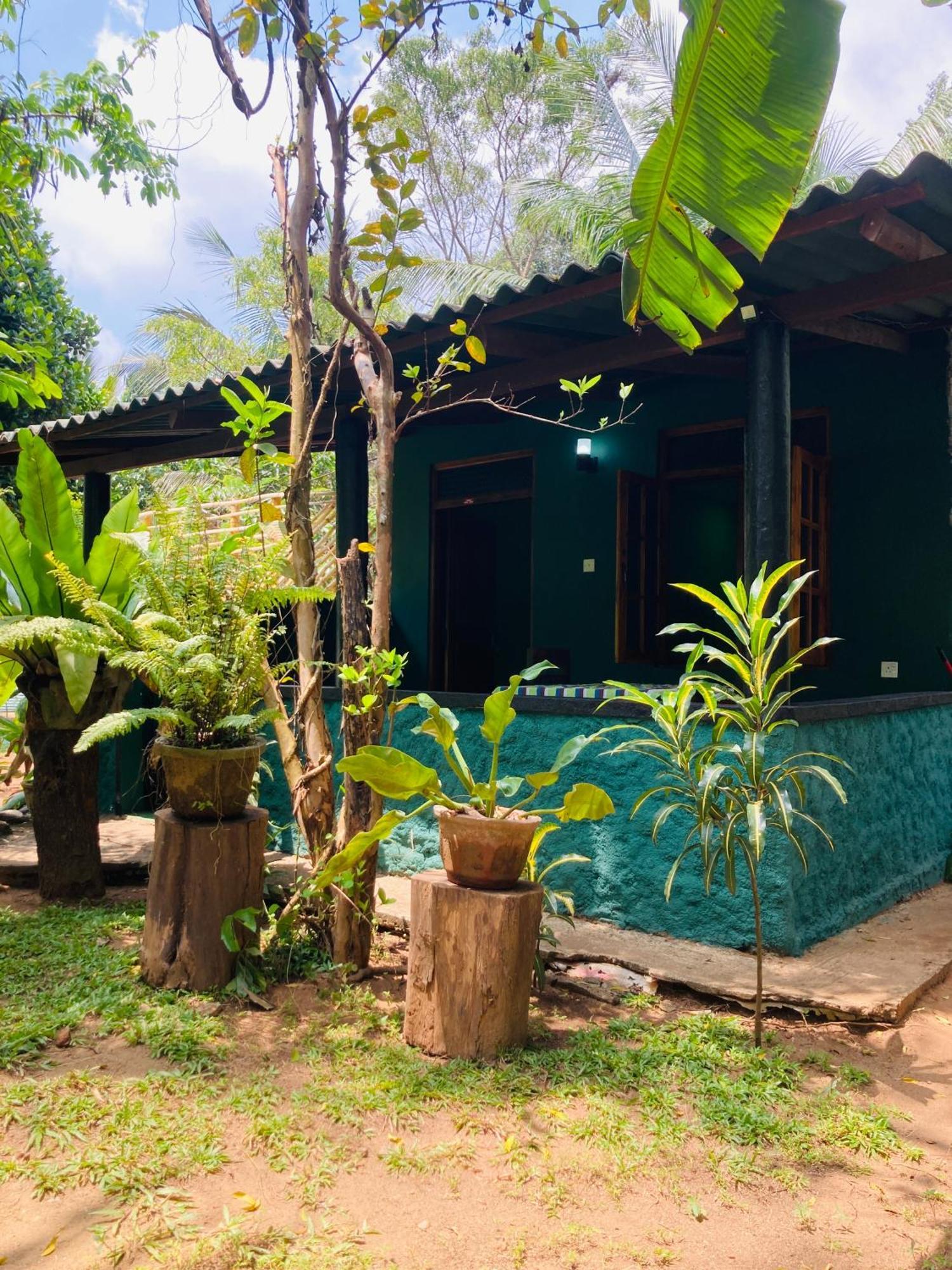 Sigiri Ruvini Homestay Sigiriya Exterior photo